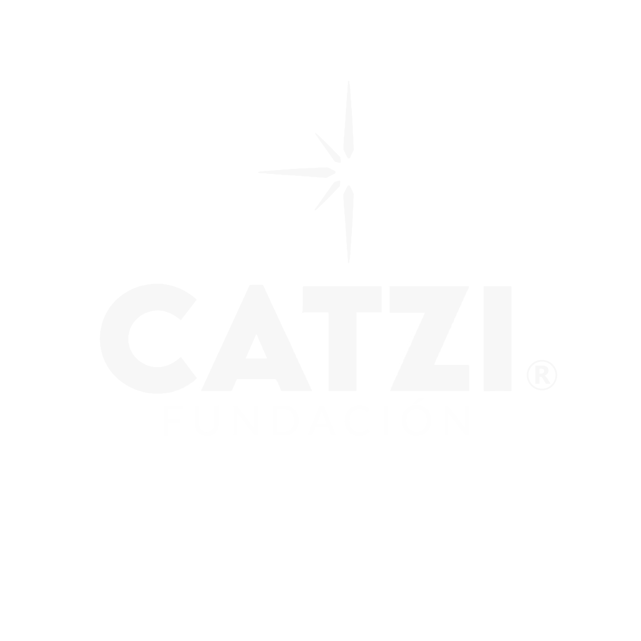 Fundación Catzi A.C. | Organización sin fines de lucro en México